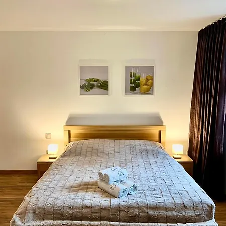 Karlov Dvor Apartman *