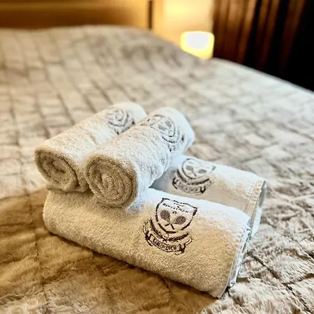 Karlov Dvor Apartman *